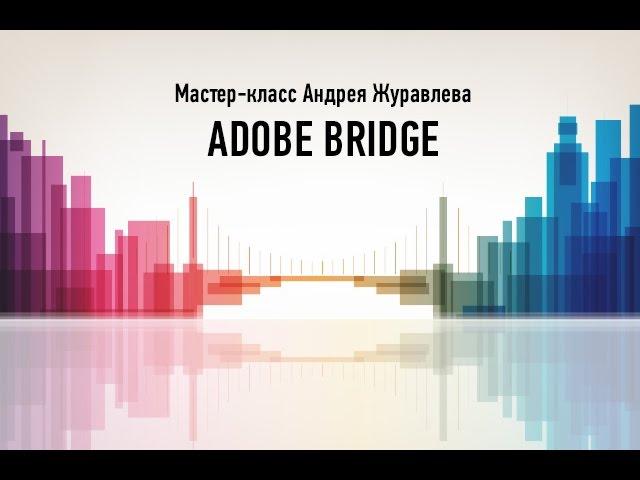 Онлайн мастер-класс Adobe Bridge. Андрей Журавлев