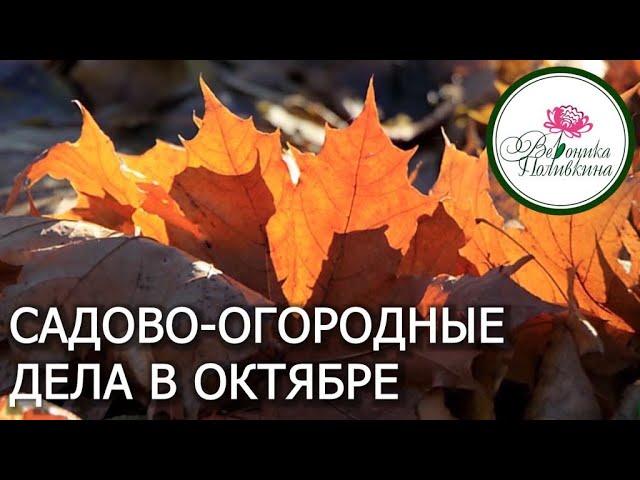 ЧТО НЕОБХОДИМО СДЕЛАТЬ В САДУ И ОГОРОДЕ В ОКТЯБРЕ