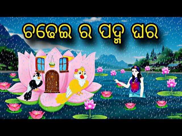 Chadhei Ra Padma Ghara \\ Odia Stories \\ Odia Gapa \\ Bird Story \\ Chadhei Gapa \\ Nua Stories