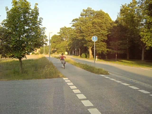 Ruderfahrrad