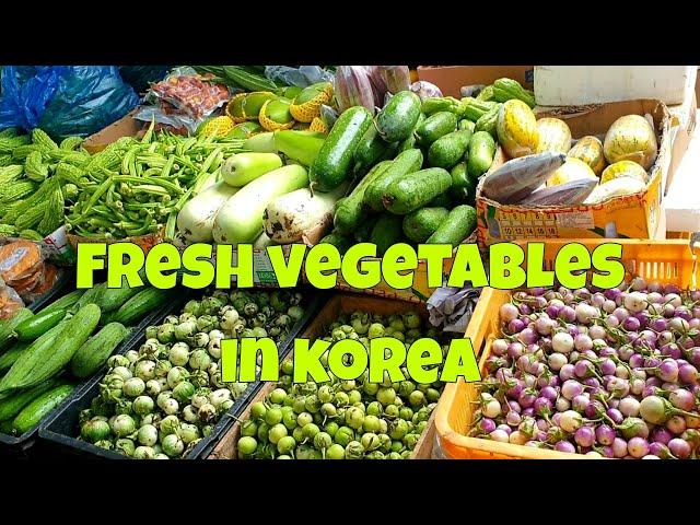 fresh vegetables in korea market days here in gwangju