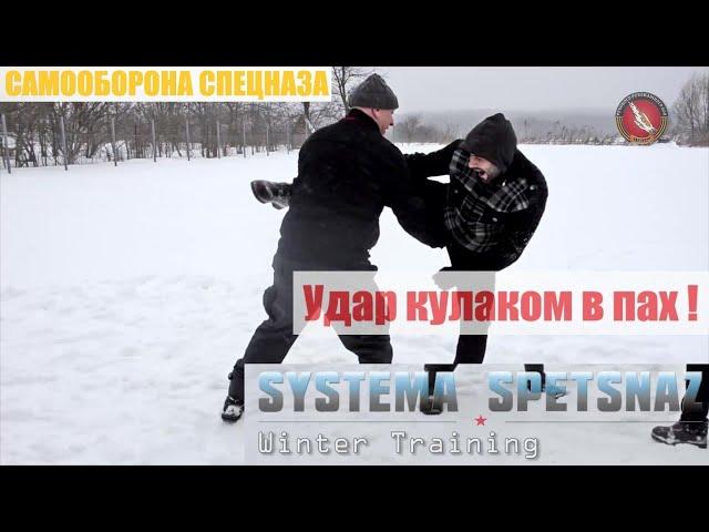 Удар кулаком в пах. Вадим Старов зимний тренинг в России с бойцом ниндзюцу Иран. Самооборона Спецназ