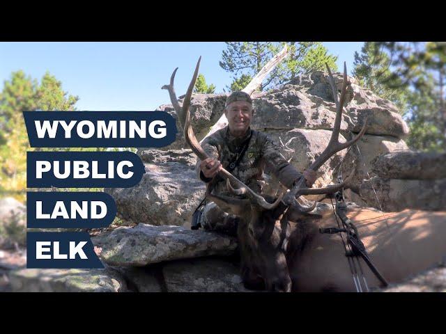 Wyoming Public Land Elk Hunt - Recurve Bow