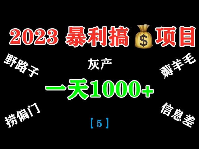 2023最新网赚、灰产、暴利副业项目，轻松月入1w+，实操视频教程