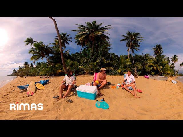 Bad Bunny - Después de la Playa (360° Visualizer) | Un Verano Sin Ti