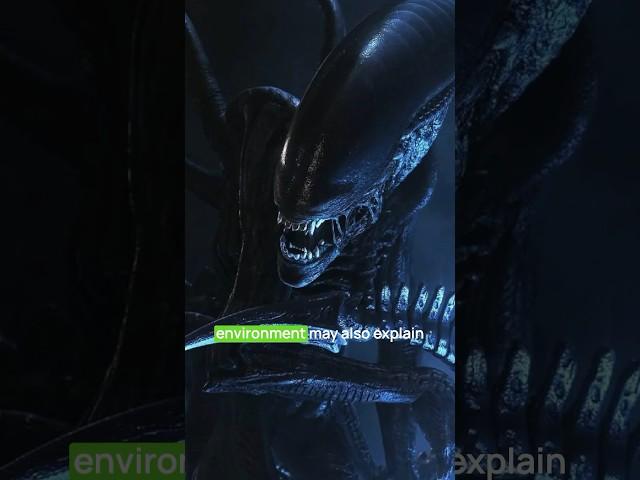 Why Does the Xenomorph Look Mechanical? #xenomorph #alienromulus #alien