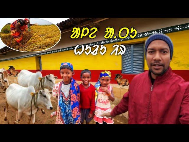 Ale atu  huru ir   |  Santhali vlog