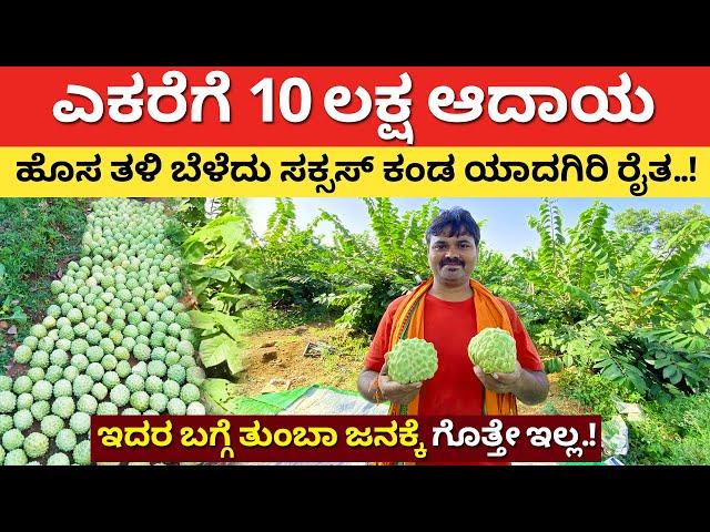 ಇದರಲ್ಲಿ ನಷ್ಟದ ಮಾತೆ ಇಲ್ಲ ಸರ್| Custard apple Farming in Kannada | modern farming in Karnataka #kannada