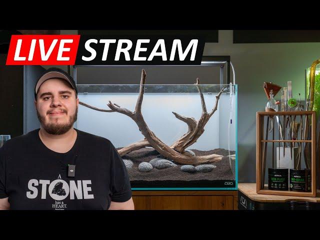 Livestream - Aquascaping Q&A