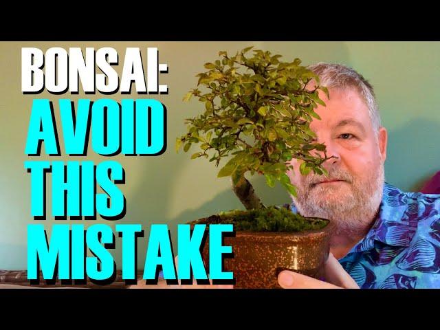 The Bonsai Beginner Mistake We All Make (And How To Avoid It)