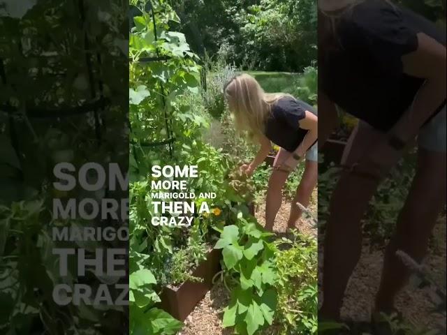 How Many Plants Can You Fit In A 4x4 Kitchen Garden #raisedbeds #gardenary #garden