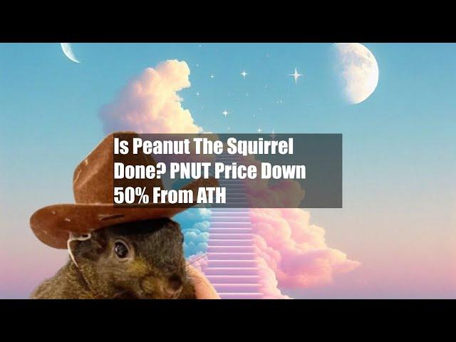 Is Peanut The Squirrel Done? PNUT Price Down 50% From ATH