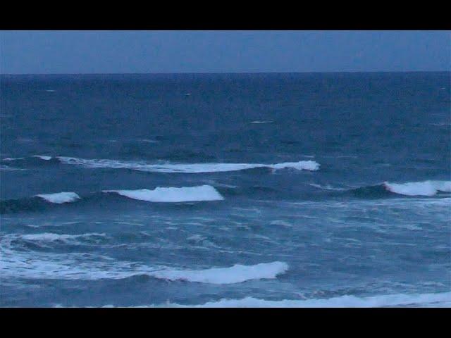 Lacanau Surf Report HD - Vendredi 25 Octobre - 8H30