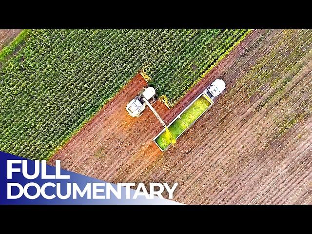 Agricultural Landmarks: Technologies to Feed the World | FD Engineering