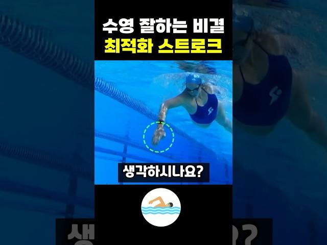 수영을 잘하는 최적화 스트로크 비밀