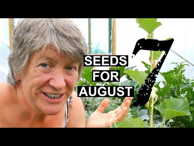 What To Sow In August | 7 easy to grow crops (2019)