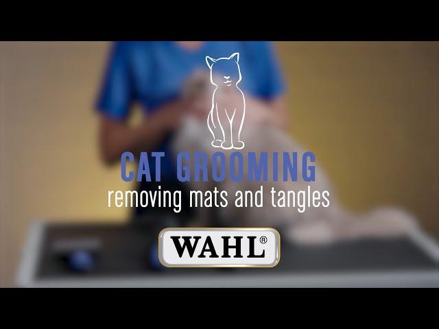 Easily Remove Mats & Tangles from your Cats Fur 