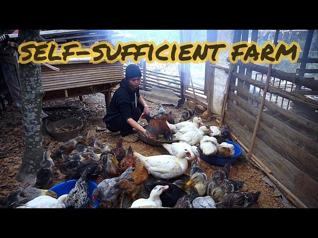 Self-Sufficient Farm Life: Simple DIY Animal Shelters for a Cozy Winter