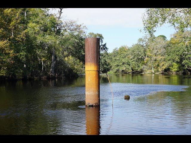 Exploring at Hog Island Recreation Area in Withlacoochee State Forest