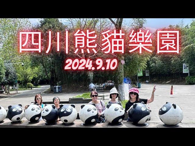 四川成都之旅 EP1: 暢遊熊貓樂園