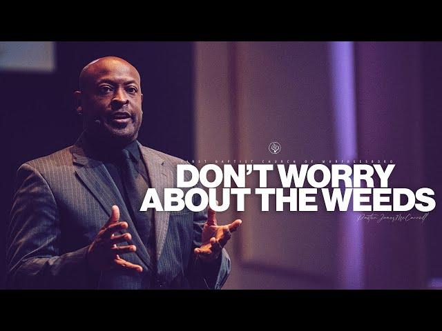 Sunday Sermon | "Don't Worry About The Weeds" with Pastor James McCarroll