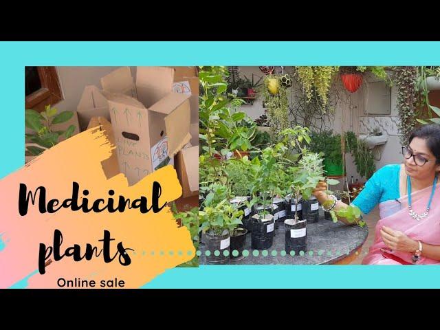 Medicinal plants& their uses/ఔషధ మొక్కలు వాటి ఉపయోగాలు #madgardener #medicinalplants  #gardening