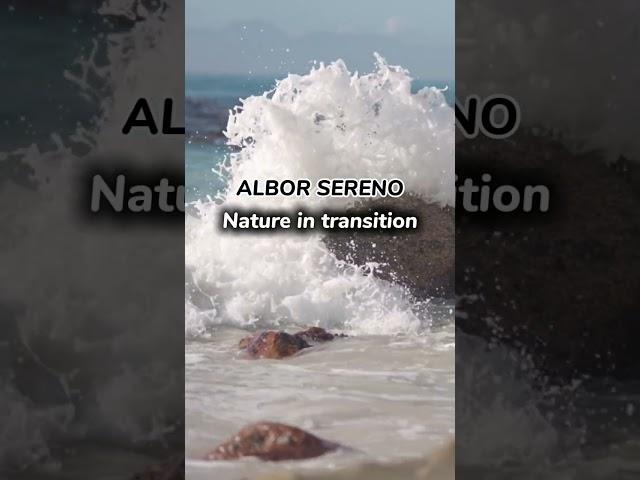 Nature in Transition | Official Music Video | Albor Sereno