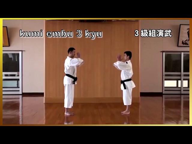 3 Kyu kumi-embu Shorinji Kempo. Demonstrations techniques, goho, juho. 少林寺拳法