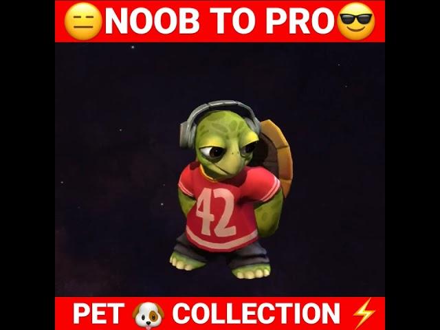 NOOB TO PRO PET  COLLECTION #freefire #shorts #short #kasiff