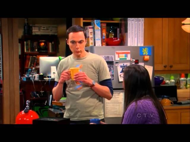 Sheldon and Leonard discuss the funeral with the girls
