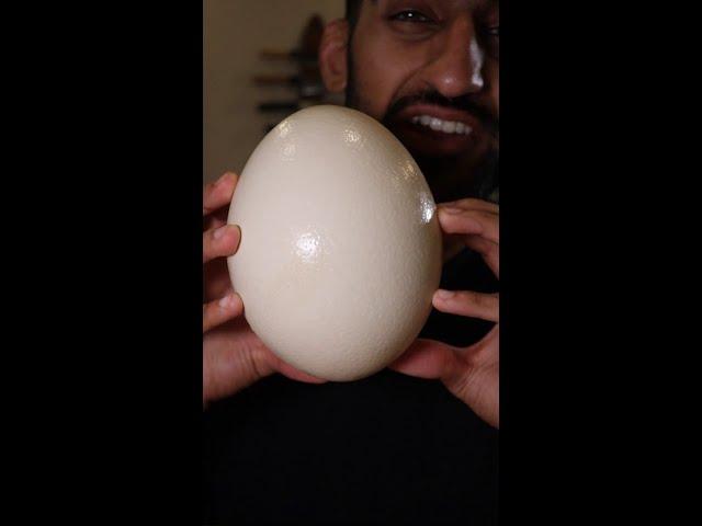 Let's Try the BIGGEST EGG in the World (Ostrich)