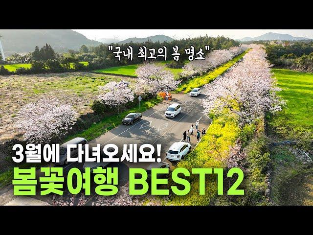 3월에 꼭 가야할 봄 여행지 BEST 12