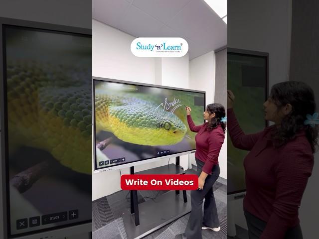 75 Inch Smart Board For Teaching In Classroom - Play 4K Videos - Write & Teach On Digital Whiteboard