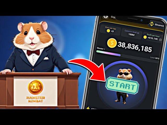 How To START PLAYING  Hamster Kombat On Telegram For Beginners + Hamster Kombat Daily Cipher & Combo