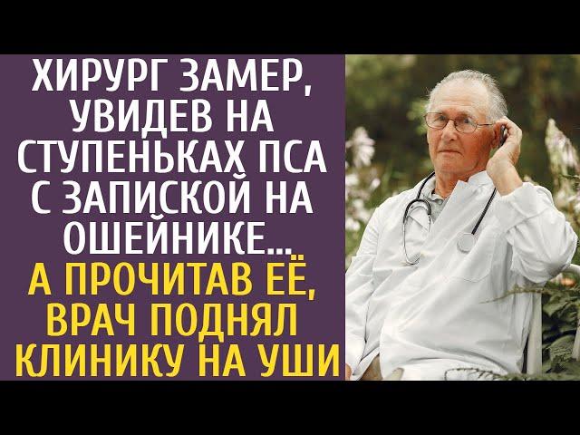 Хирург замер, увидев на ступеньках пса с запиской на ошейнике… Прочитав, врач поднял клинику на уши