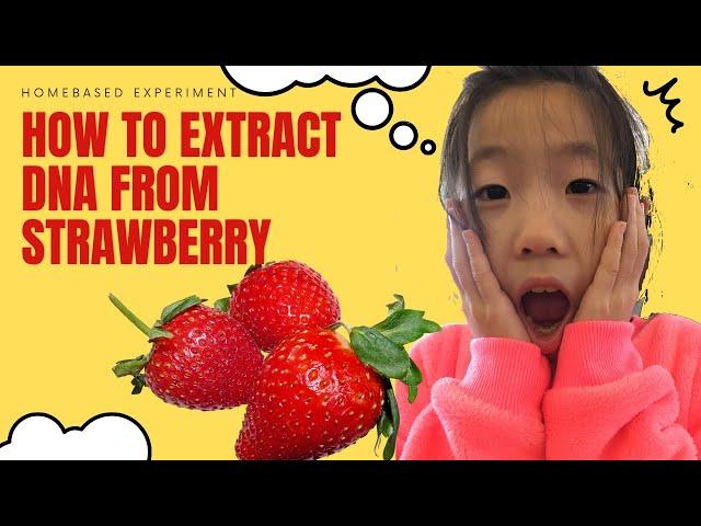 Home Experiment: How to extract DNA from Strawberry