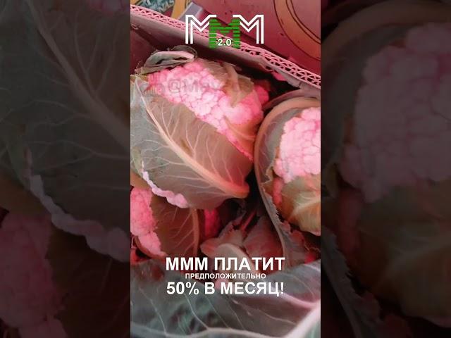 Цветная капуста на Привозе .Крым. Симферополь. 17.05.24