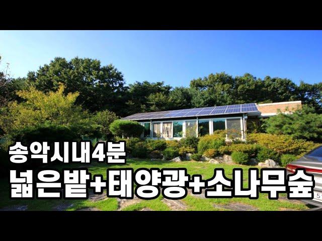 아산전원주택매매ㅣ송악시내4분+멋진 소나무숲ㅣ텃밭130평.태양광5kwㅣS134