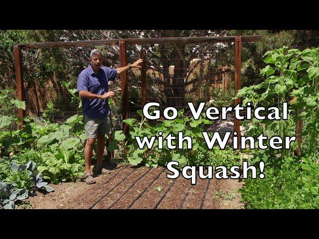 Vertical Squash