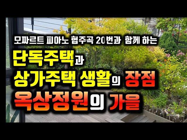 단독주택, 상가주택 생활의 즐거움-옥상정원의 가을  /단독주택,상가주택의 장점/모짜르트 피아노 협주곡 20번과 옥상정원의 가을