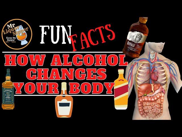 How Alcohol Changes Your Body