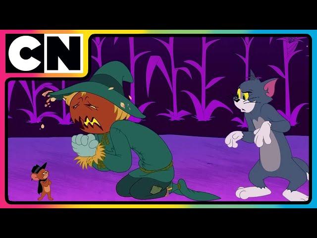 Tom & Jerry | All Hail The Skull King Tom! ️| Cartoon for Kids | Halloween Special | Cat & Mouse