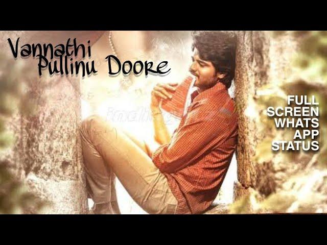 Vannnathi Pullinu Dhoore || FullScreen Whatsapp Status