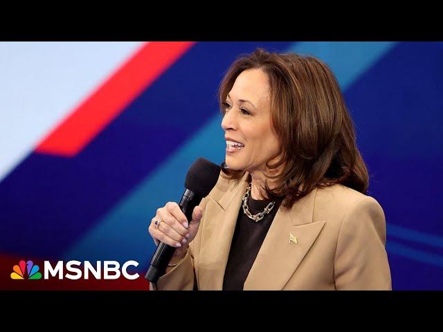 'I like her style': Could Harris' likeability make the difference in November?