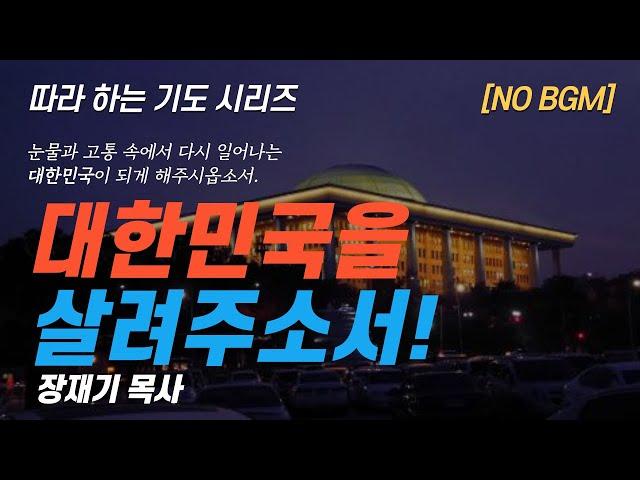 (따라하는 기도시리즈) 244 대한민국을 살리는 기도, 나라와 민족을 위한 기도, 계엄령, 대통령 / 장재기 목사 NO BGM