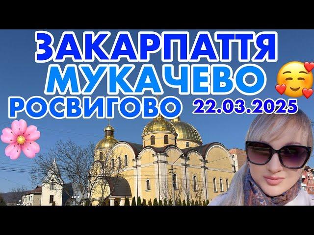 ЗАКАРПАТТЯМУКАЧЕВОРОСВИГОВО / ШИКАРНИЙ РАЙОНКВІТНУТЬ ДЕРЕВА і КВІТИ / 22.03.2025