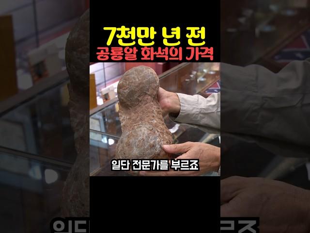 7천만 년 전 공룡알 화석의 가격