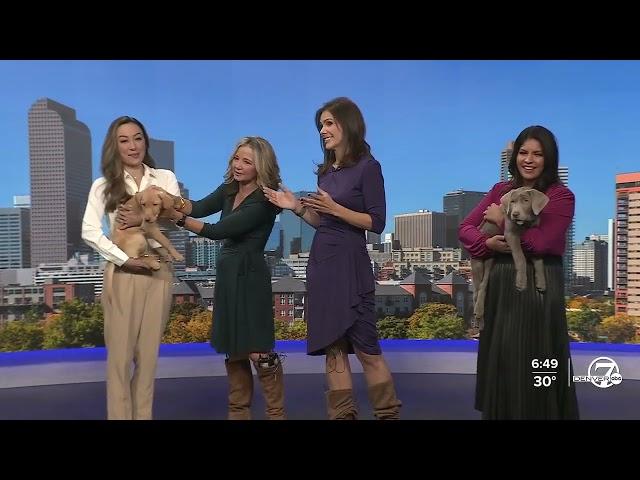 Katie LaSalle, Lisa Hidalgo & Nicole Brady 11/05/2024 ABC7