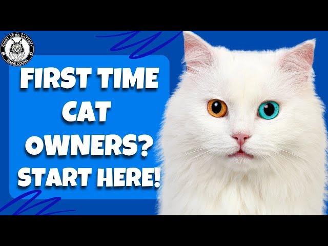 The Ultimate Guide for First-Time Cat Owners