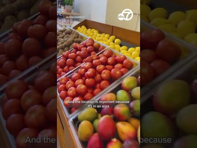 SF opens community market providing free groceries for low-income residents